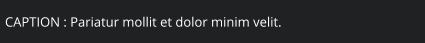 CAPTION : Pariatur mollit et dolor minim velit.